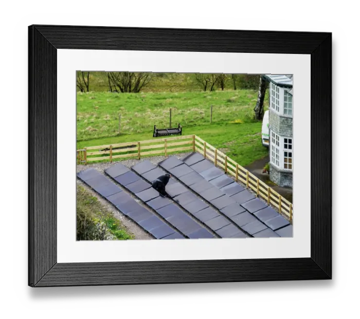Framed Print : Solar panels in the grounds of a business in Ambleside, Lake District, Cumbria, UK. April, 2023