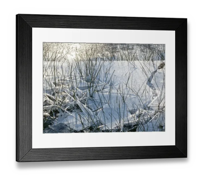 Framed Print : Frozen floodwater on a watermeadow in morning winter sunlight, Ambleside, Lake District, Cumbria, UK. January, 2023 Framed Print : Frozen floodwater on a watermeadow in morning winter sunlight, Ambleside, Lake District, Cumbria, UK. January, 2023