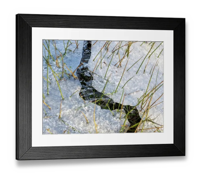 Framed Print : Frozen floodwater on a watermeadow in winter, Ambleside, Lake District, Cumbria, UK. January, 2023 Framed Print : Frozen floodwater on a watermeadow in winter, Ambleside, Lake District, Cumbria, UK. January, 2023