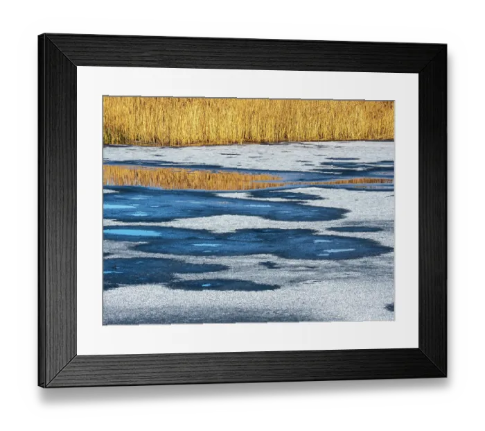 Framed Print : Holes in the ice on lake surrounded by reedbeds in winter, Leighton Moss Nature Reserve, Lancashire, UK. January, 2023 Framed Print : Holes in the ice on lake surrounded by reedbeds in winter, Leighton Moss Nature Reserve, Lancashire, UK. January, 2023