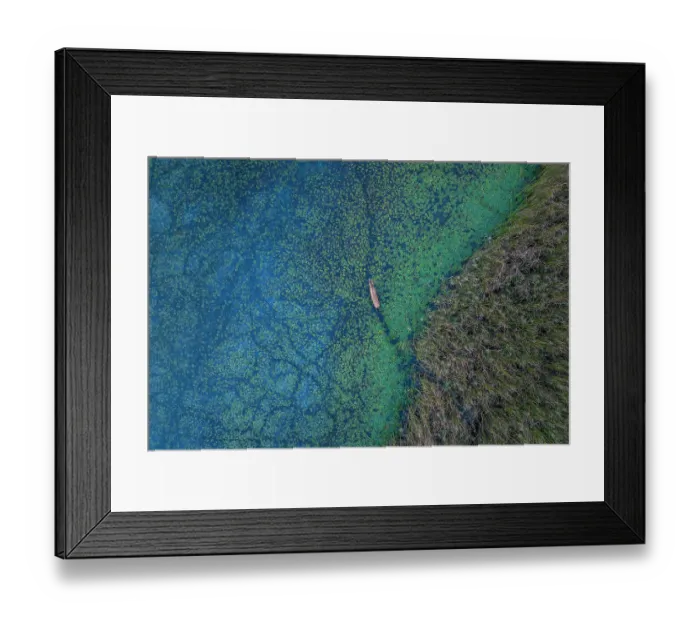 Framed Print : Aerial view of Red deer (Cervus elaphus) walking through pond with Water caltrop (Trapa natans) and blue bacteria, surrounded by Reedbeds (Phragmites australis) Framed Print : Aerial view of Red deer (Cervus elaphus) walking through pond with Water caltrop (Trapa natans) and blue bacteria, surrounded by Reedbeds (Phragmites australis)