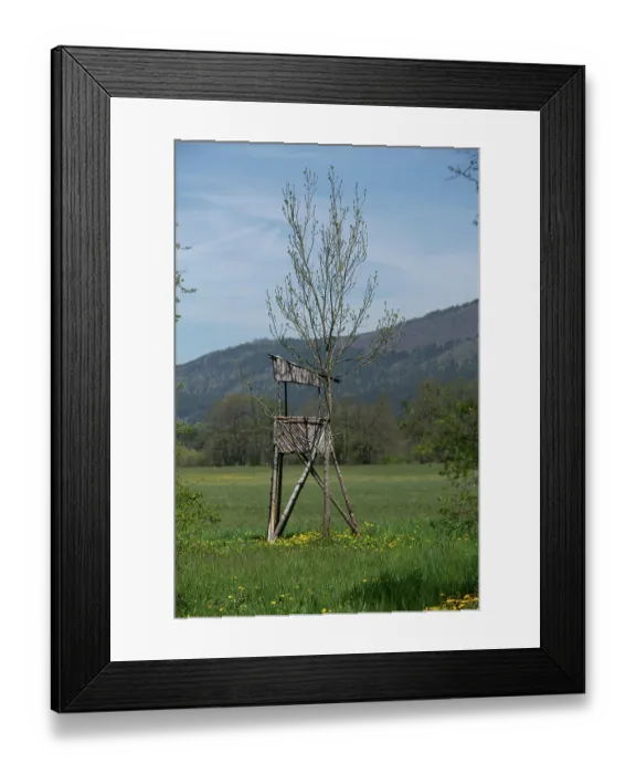 Framed Print : Deer stalking hide, Slovenia. May, 2023 Framed Print : Deer stalking hide, Slovenia. May, 2023