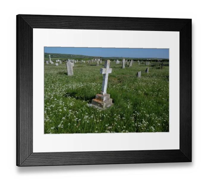 Framed Print : Wildflowers in village churchyard, St Materiana, Tintagel, Cornwall, UK. May, 2023 Framed Print : Wildflowers in village churchyard, St Materiana, Tintagel, Cornwall, UK. May, 2023