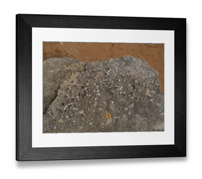Framed Print : Fossil Crinoids (Echinodermata) in limestone, Peniche, Portugal. June, 2023