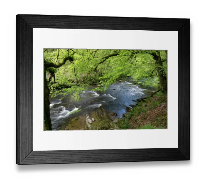 Framed Print : River Barle surrounded by deciduous woodland, Exmoor, Somerset, UK. May, 2023 Framed Print : River Barle surrounded by deciduous woodland, Exmoor, Somerset, UK. May, 2023