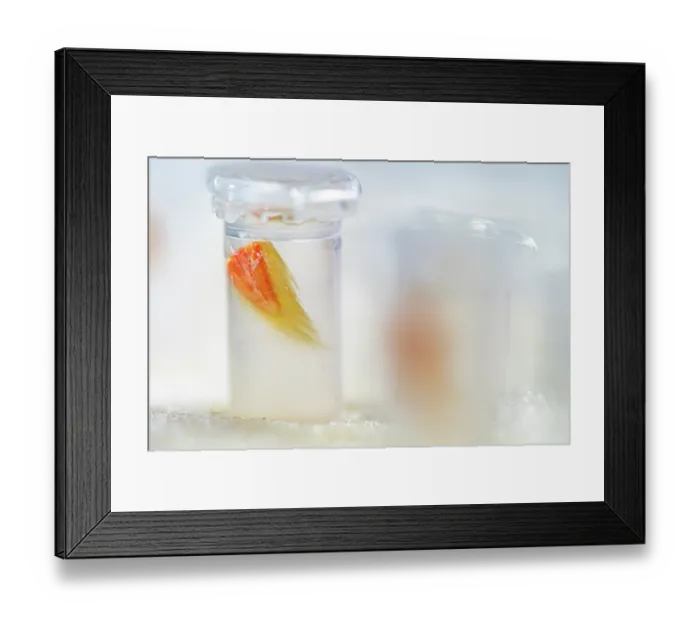 Framed Print : Pleopod sample from a female European lobster (Homarus gammarus) inside test tube, this will be used to try to determine DNA. National Lobster Hatchery, Padstow, Cornwall, UK Framed Print : Pleopod sample from a female European lobster (Homarus gammarus) inside test tube, this will be used to try to determine DNA. National Lobster Hatchery, Padstow, Cornwall, UK