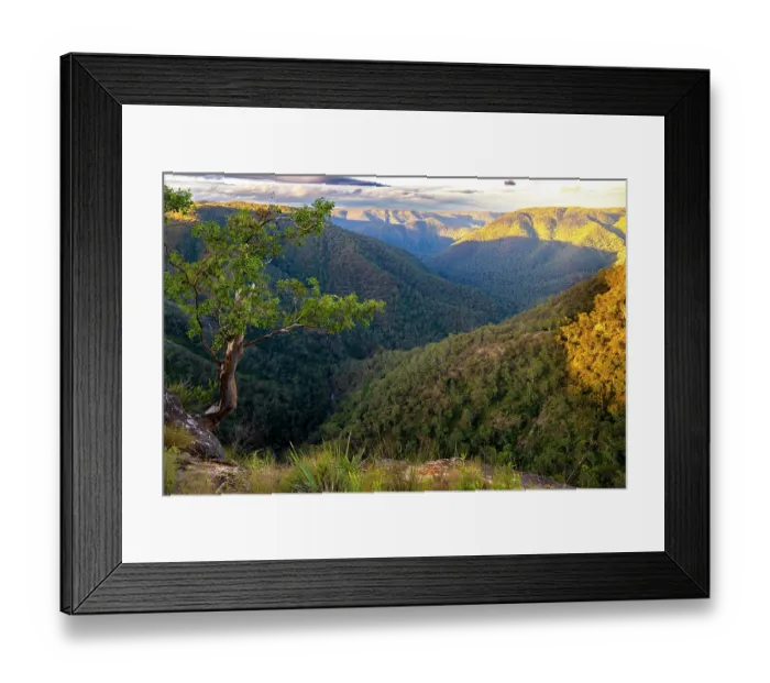Framed Print : View over dense forest in Bungonia Gorge, Bungonia National Park, New South Wales, Australia. June, 2022 Framed Print : View over dense forest in Bungonia Gorge, Bungonia National Park, New South Wales, Australia. June, 2022