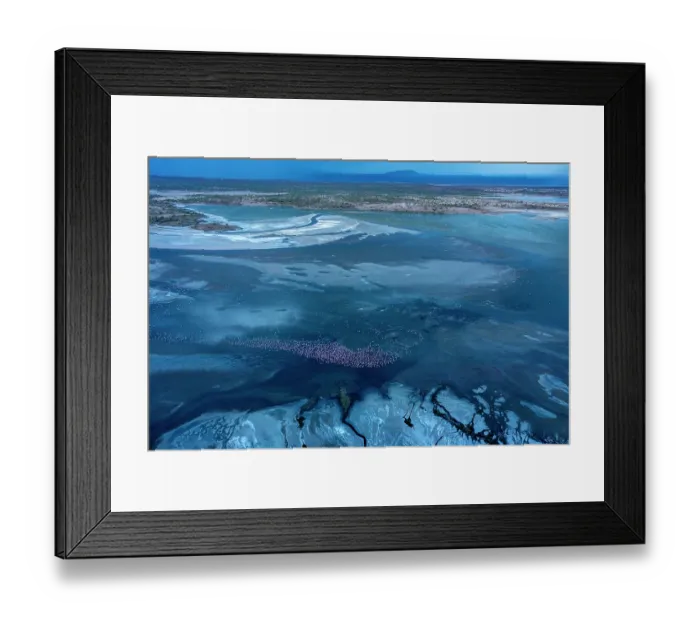 Framed Print : Lesser flamingo (Phoeniconaias minor) flock on Lake Magadi under a stormy sky, Rift Valley, Kenya