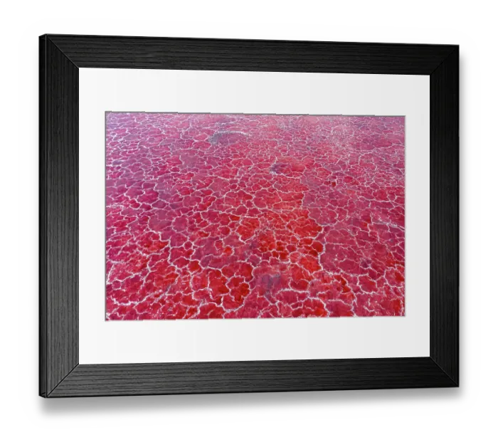 Framed Print : Aerial view of pink, soda encrusted Lake Magadi, Rift Valley, Kenya. September, 2023 Framed Print : Aerial view of pink, soda encrusted Lake Magadi, Rift Valley, Kenya. September, 2023