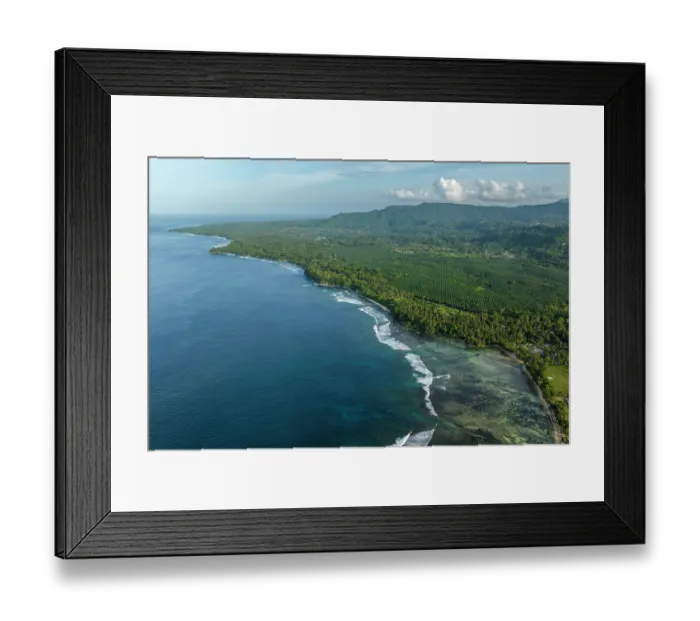 Framed Print : Aerial view of an Oil palm (Genus Elaeis) plantation stretching directly to the coast, New Ireland Province, Papua New Guinea. November, 2023 Framed Print : Aerial view of an Oil palm (Genus Elaeis) plantation stretching directly to the coast, New Ireland Province, Papua New Guinea. November, 2023