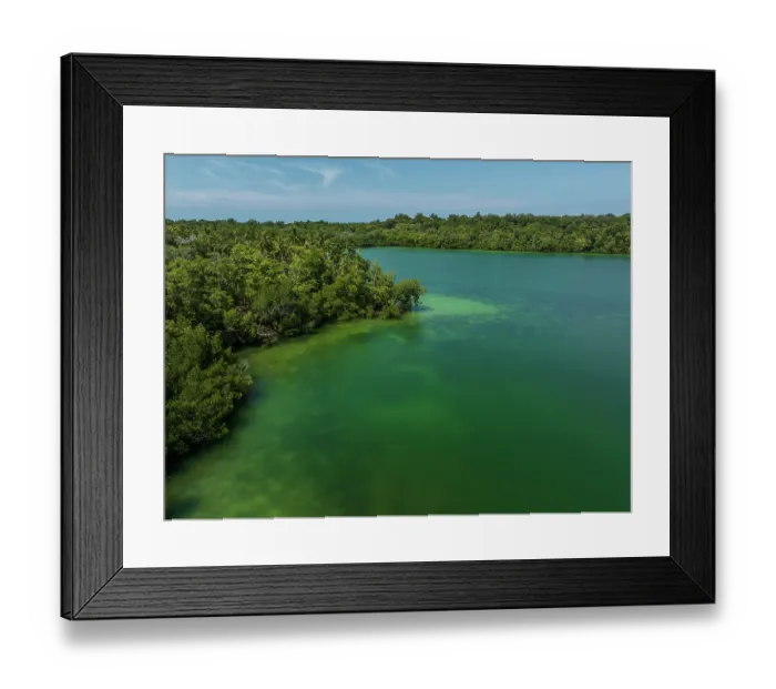 Framed Print : Aerial view of mangroves and lagoon on Emirau Island, New Ireland Province, Papua New Guinea. November, 2023 Framed Print : Aerial view of mangroves and lagoon on Emirau Island, New Ireland Province, Papua New Guinea. November, 2023