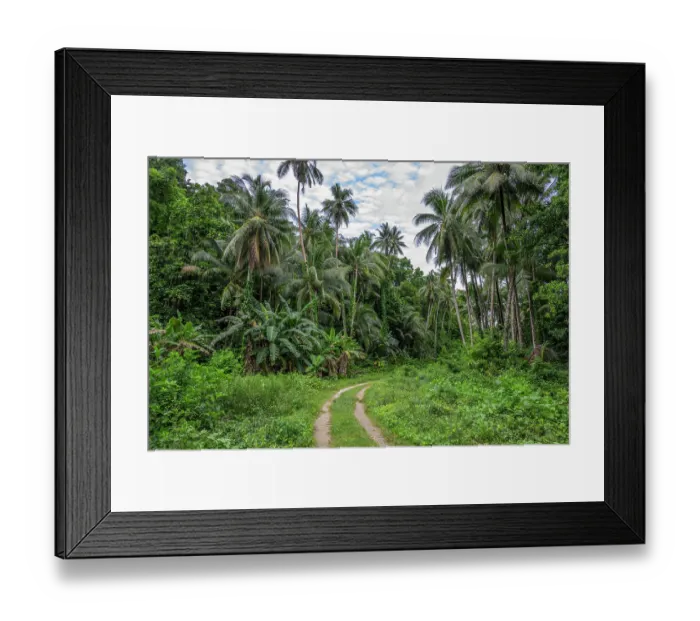 Framed Print : A road leading through the dense vegetation on Mussau Island, New Ireland Province, Papua New Guinea. December, 2023 Framed Print : A road leading through the dense vegetation on Mussau Island, New Ireland Province, Papua New Guinea. December, 2023