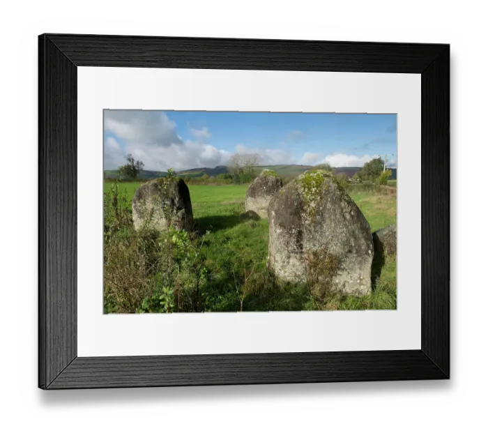 Framed Print : The Four Stones, a prehistoric monument dating to the Late Neolithic or Early Bronze Age, Walton Basin, a glacial lakebed, Radnorshire, Wales, UK. November, 2023 Framed Print : The Four Stones, a prehistoric monument dating to the Late Neolithic or Early Bronze Age, Walton Basin, a glacial lakebed, Radnorshire, Wales, UK. November, 2023