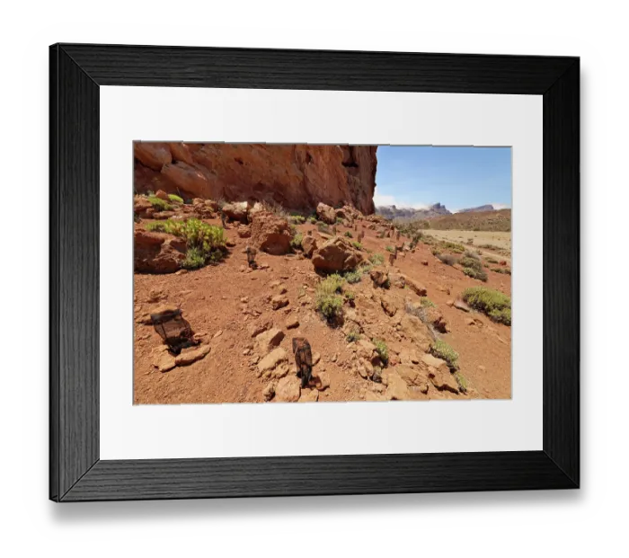 Framed Print : Various endemic plants, recently planted and protected with protective netting by park staff within the Las Canadas caldera, Teide National Park, Tenerife, Canary Islands Framed Print : Various endemic plants, recently planted and protected with protective netting by park staff within the Las Canadas caldera, Teide National Park, Tenerife, Canary Islands