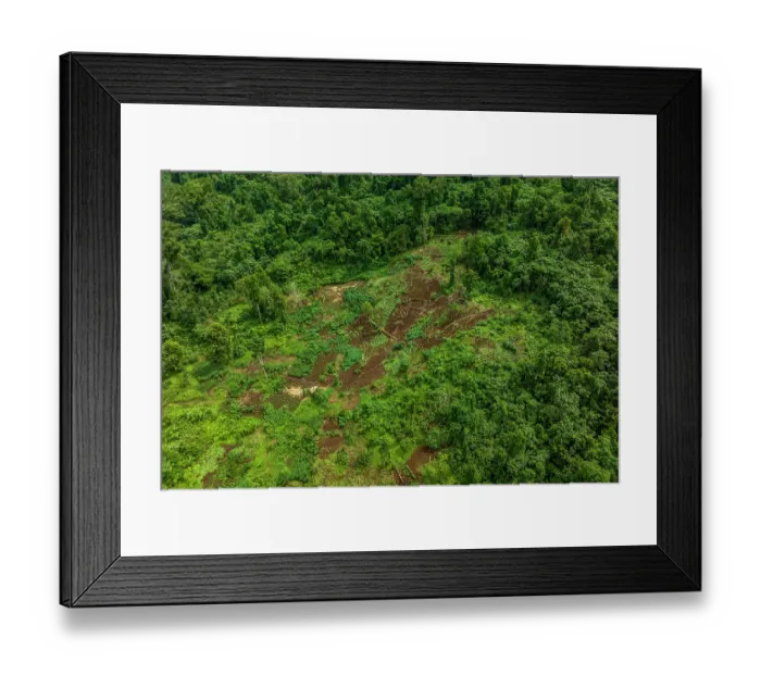 Framed Print : Aerial view of a farm with a small timber processing area near the Koarare Community, Kolombangara Island, Western Province, Solomon Islands. July, 2023 Framed Print : Aerial view of a farm with a small timber processing area near the Koarare Community, Kolombangara Island, Western Province, Solomon Islands. July, 2023