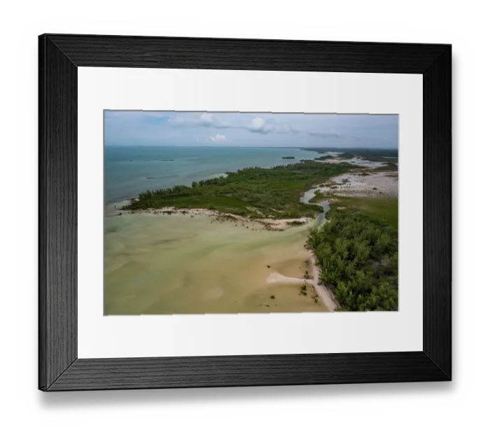 Framed Print : Aerial view of coastal wetland, a marine protected area habitat for Lemon sharks, Eleuthera, Bahamas, Caribbean Sea. June, 2023 Framed Print : Aerial view of coastal wetland, a marine protected area habitat for Lemon sharks, Eleuthera, Bahamas, Caribbean Sea. June, 2023
