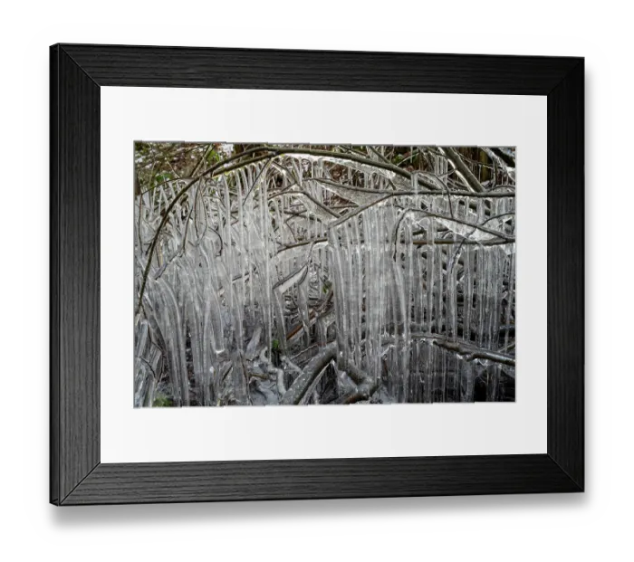 Framed Print : Roadside vegetation coated in ice from road surface water spray during winter storm, Surrey Hills AONB, Holmbury St Mary, Surrey, UK. February