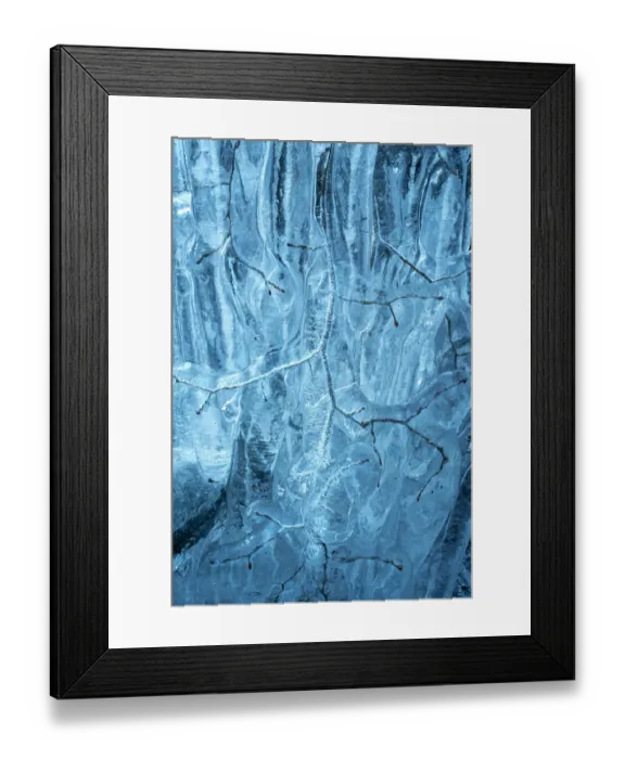 Framed Print : Beech (Fagus sylvatica) tree branches covered in ice from road surface water spray during winter storm, Surrey Hills AONB, Holmbury St Mary, Surrey, UK. February Framed Print : Beech (Fagus sylvatica) tree branches covered in ice from road surface water spray during winter storm, Surrey Hills AONB, Holmbury St Mary, Surrey, UK. February