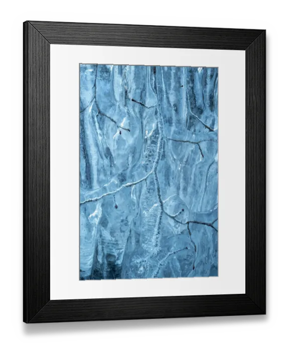Framed Print : Beech (Fagus sylvatica) tree branches covered in ice from road surface water spray during winter storm, Surrey Hills AONB, Holmbury St Mary, Surrey, UK. February Framed Print : Beech (Fagus sylvatica) tree branches covered in ice from road surface water spray during winter storm, Surrey Hills AONB, Holmbury St Mary, Surrey, UK. February