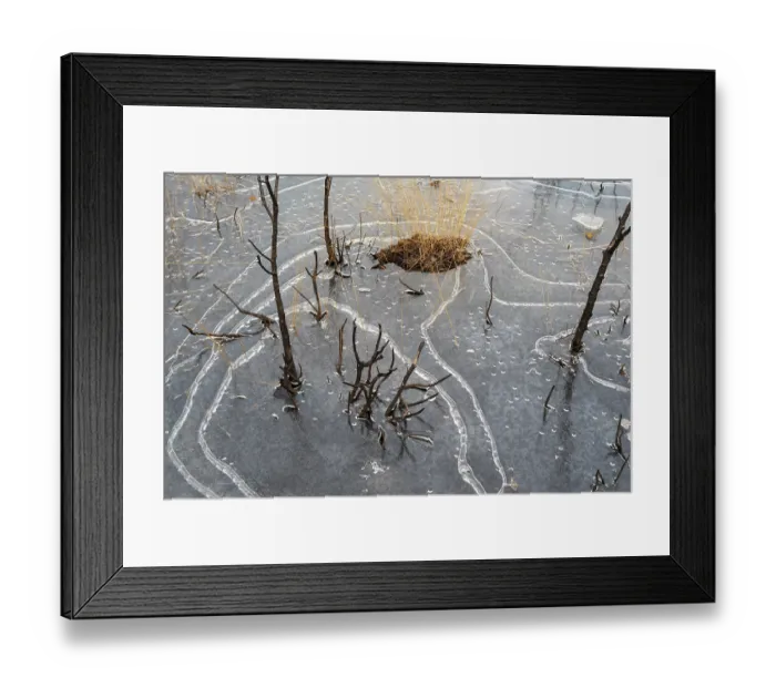 Framed Print : Unusual ice patterns caused by extremely low temperatures and wind on small heathland pond, Thursley Common National nature reserve and SSSI, Surrey Hills AONB, Thursley, Surrey Framed Print : Unusual ice patterns caused by extremely low temperatures and wind on small heathland pond, Thursley Common National nature reserve and SSSI, Surrey Hills AONB, Thursley, Surrey