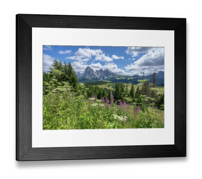 Framed Print : Odle / Geisler mountain group viewed from Alpe di Siusi in summer, Puez-Odle Nature Park, South Tyrol, Italian Dolomites, Italy. August, 2023 Framed Print : Odle / Geisler mountain group viewed from Alpe di Siusi in summer, Puez-Odle Nature Park, South Tyrol, Italian Dolomites, Italy. August, 2023