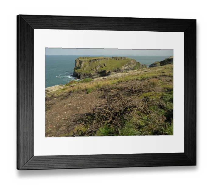 Framed Print : Regrowth of vegetation on clifftop one year after major fire, Tintagel, Cornwall, UK. August, 2023 Framed Print : Regrowth of vegetation on clifftop one year after major fire, Tintagel, Cornwall, UK. August, 2023