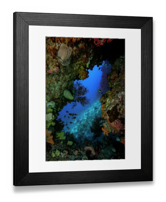 Framed Print : Underwater cave with walls covered with encrusting organisms, especially Sponges (Porifera) and Corals (Anthozoa), Hukarilla Cave, Ambon, Indonesia, Pacific Ocean Framed Print : Underwater cave with walls covered with encrusting organisms, especially Sponges (Porifera) and Corals (Anthozoa), Hukarilla Cave, Ambon, Indonesia, Pacific Ocean