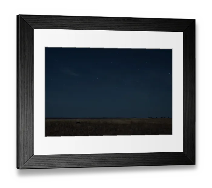 Framed Print : Masai ostrich (Struthio camels massaicus) male, sitting on nest at night under a starry sky, Tarangire National Park, Tanzania Framed Print : Masai ostrich (Struthio camels massaicus) male, sitting on nest at night under a starry sky, Tarangire National Park, Tanzania