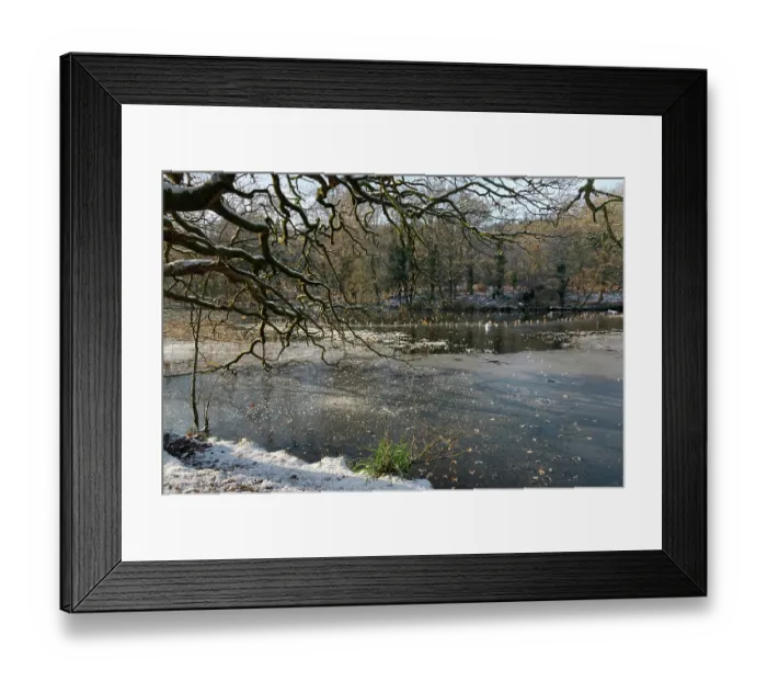 Framed Print : Cannop Ponds mostly frozen over with snow on margins, Forest of Dean, Gloucestershire, England, UK. December, 2022 Framed Print : Cannop Ponds mostly frozen over with snow on margins, Forest of Dean, Gloucestershire, England, UK. December, 2022