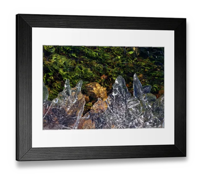 Framed Print : Ice patterns on partially frozen stream across heathland, New Forest, Hampshire, England, UK. January, 2023 Framed Print : Ice patterns on partially frozen stream across heathland, New Forest, Hampshire, England, UK. January, 2023