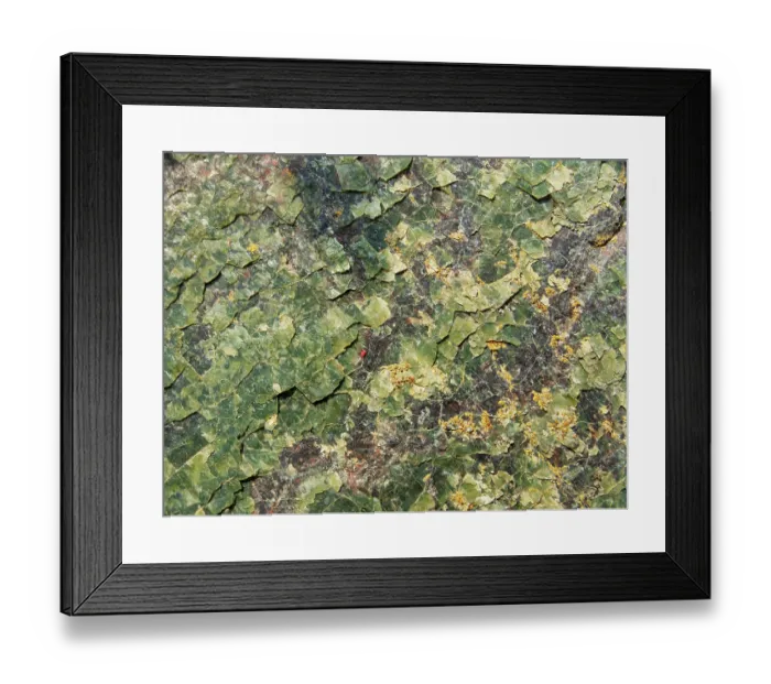 Framed Print : Close up of sepentine rock outcrop with scaly surface, Kynance Cove, Lizard National Nature Reserve, Cornwall, England, UK. June, 2023 Framed Print : Close up of sepentine rock outcrop with scaly surface, Kynance Cove, Lizard National Nature Reserve, Cornwall, England, UK. June, 2023