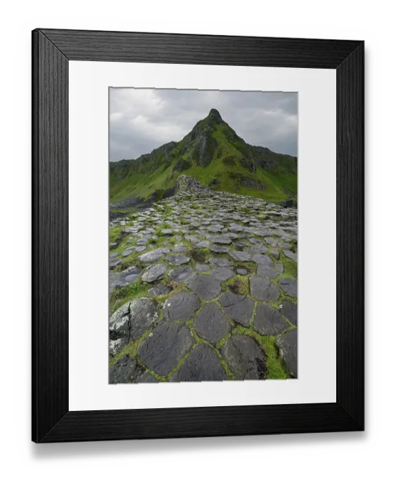 Framed Print : Basalt hexagonal rocks at the Giant's Causeway, UNESCO World Heritage Site, County Antrim, Northern Ireland, UK. June, 2022 Framed Print : Basalt hexagonal rocks at the Giant's Causeway, UNESCO World Heritage Site, County Antrim, Northern Ireland, UK. June, 2022