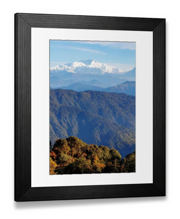 Framed Print : Mossy oak forest, rowan trees and rhododendrons in the sub-alpine zone, habitat of the Red Panda Framed Print : Mossy oak forest, rowan trees and rhododendrons in the sub-alpine zone, habitat of the Red Panda
