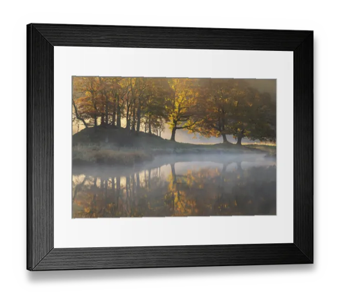 Framed Print : The River Brathay shrouded in early morning mist with reflections of autumnal trees, near Ambleside, The Lake District, Cumbria, England, UK. November, 2023 Framed Print : The River Brathay shrouded in early morning mist with reflections of autumnal trees, near Ambleside, The Lake District, Cumbria, England, UK. November, 2023