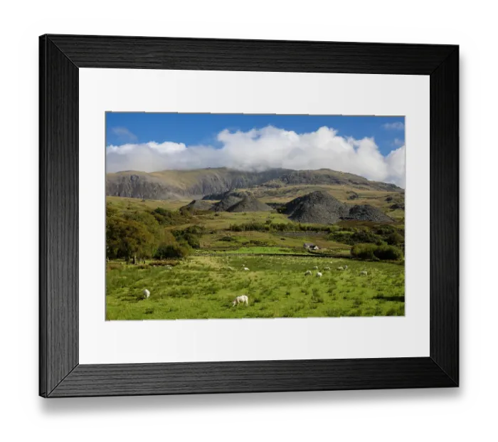 Framed Print : Slate spoil heaps near Nantlle, UNESCO World Heritage Site, Snowdonia / Eryri National Park, Nantlle, Caernarfon, Wales, UK. October, 2022 Framed Print : Slate spoil heaps near Nantlle, UNESCO World Heritage Site, Snowdonia / Eryri National Park, Nantlle, Caernarfon, Wales, UK. October, 2022
