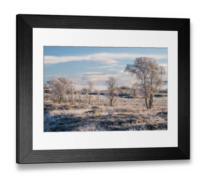 Framed Print : Frosty trees and moorland near Loch Ba, Argyll and Bute, Highlands, Scotland, UK. November, 2023 Framed Print : Frosty trees and moorland near Loch Ba, Argyll and Bute, Highlands, Scotland, UK. November, 2023