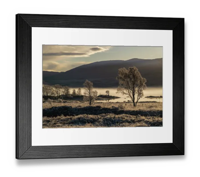 Framed Print : RF - Frosty trees along the water's edge with moorland behind, near Loch Ba, Argyll and Bute, Highlands, Scotland, UK. November, 2023 Framed Print : RF - Frosty trees along the water's edge with moorland behind, near Loch Ba, Argyll and Bute, Highlands, Scotland, UK. November, 2023