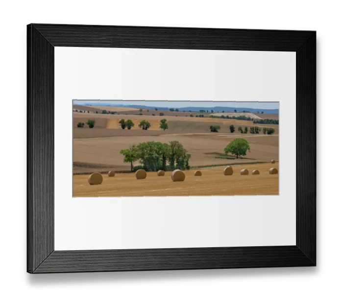 Framed Print : Cultivated farmland and pastures, interspersed with trees and straw bales in foreground, Le Morvan, Nievre, France, north of Massif Central. June, 2023 Framed Print : Cultivated farmland and pastures, interspersed with trees and straw bales in foreground, Le Morvan, Nievre, France, north of Massif Central. June, 2023