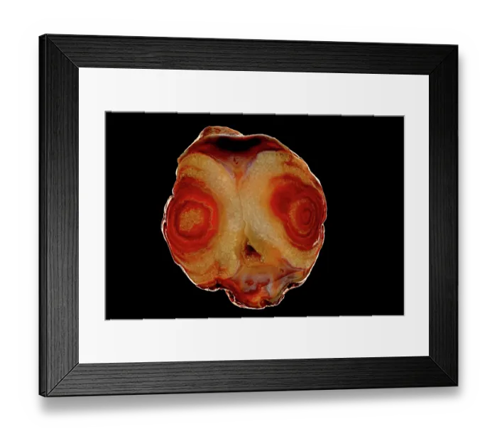 Framed Print : Agate rock, chalcedony and silicon dioxide, Mendip Hills Agate, Mendip Hills, Dulcote, England, UK Framed Print : Agate rock, chalcedony and silicon dioxide, Mendip Hills Agate, Mendip Hills, Dulcote, England, UK