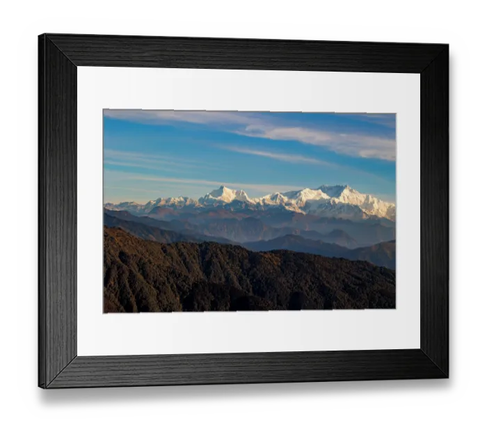 Framed Print : Mossy oak forest, rowan trees and rhododendrons in the sub-alpine zone, habitat of the Red Panda Framed Print : Mossy oak forest, rowan trees and rhododendrons in the sub-alpine zone, habitat of the Red Panda