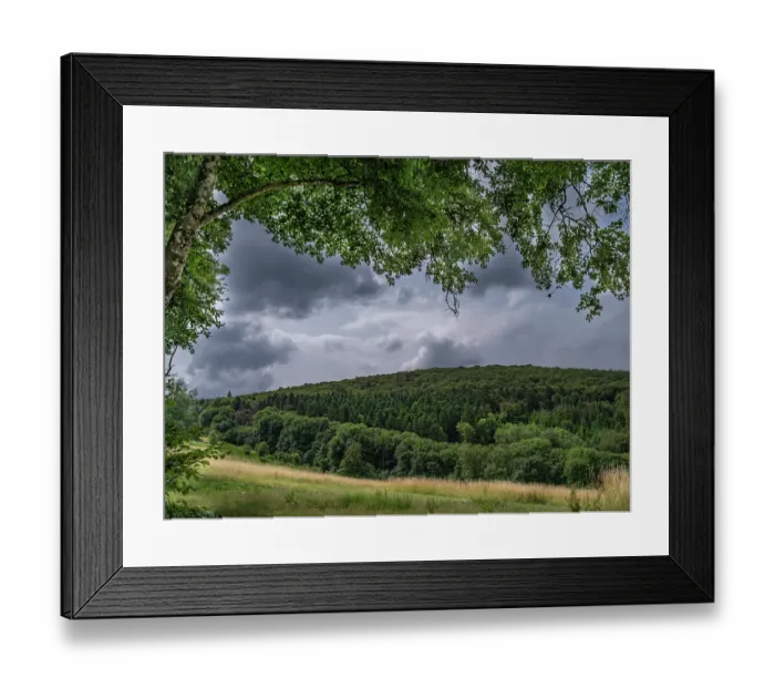 Framed Print : Forested site of Bibracte, a Gallic oppidum (fortified settlement), Le Morvan, Yonne, France, north of Massif Central. June, 2023 Framed Print : Forested site of Bibracte, a Gallic oppidum (fortified settlement), Le Morvan, Yonne, France, north of Massif Central. June, 2023