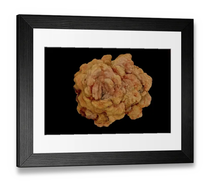 Framed Print : Barite rose, consisting of radial and rosette sprays of disc-shaped barite crystals (BaS04} that contain angular medium quartz sand (Si02)