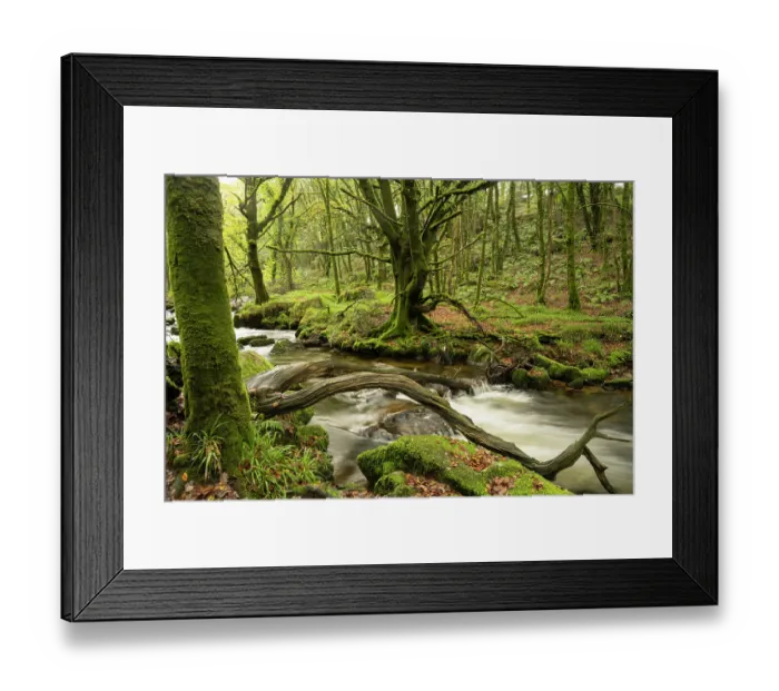 Framed Print : River Fowey flowing through woodland in autumn, Golitha Falls, Liskeard, Cornwall, England, UK. November, 2023 Framed Print : River Fowey flowing through woodland in autumn, Golitha Falls, Liskeard, Cornwall, England, UK. November, 2023