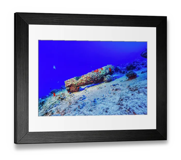 Framed Print : A coral encrusted unexploded bomb at depth off Molokini Marine Preserve in Maui County. This area was used for target practice during World War II. Hawaii, Pacific Ocean Framed Print : A coral encrusted unexploded bomb at depth off Molokini Marine Preserve in Maui County. This area was used for target practice during World War II. Hawaii, Pacific Ocean