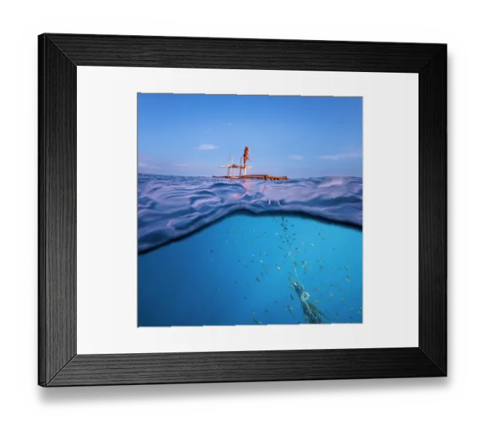 Framed Print : Split level view of fish sheltering under a floating bamboo structure, this FAD is part of a fish aggregating device employed offshore by local people to aid in fishing