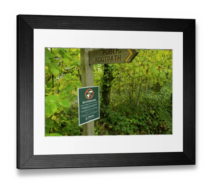 Framed Print : No foraging sign under public footpath signpost, Ebernoe Common Nature Reserve, Sussex, England, UK. November, 2023 Framed Print : No foraging sign under public footpath signpost, Ebernoe Common Nature Reserve, Sussex, England, UK. November, 2023