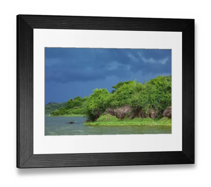 Framed Print : Cape buffalo (Syncerus caffer caffer) standing in river close to riverbank under a stormy sky, Kazinga channel, Nile river, Queen Elizabeth National Park, Uganda