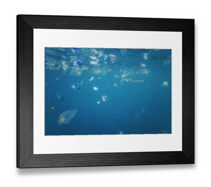 Framed Print : Plastic bags and waste floating underwater in Indian Ocean, off Baucau, East Timor. October, 2023 Framed Print : Plastic bags and waste floating underwater in Indian Ocean, off Baucau, East Timor. October, 2023