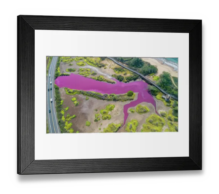 Framed Print : Aerial view of pond turned pink due to halobacteria, Kealia National Wildlife Refuge, Maui, Hawaii. December, 2023 Framed Print : Aerial view of pond turned pink due to halobacteria, Kealia National Wildlife Refuge, Maui, Hawaii. December, 2023