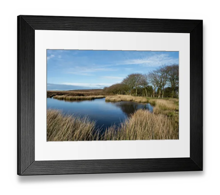 Framed Print : Dystrophic pond on heather moorland fringed by Soft rush (Juncus effusus), Pole Cottage, Long Mynd, Shropshire Hills National Landscape, England, UK, March 2024